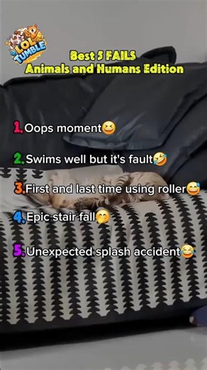 TOP 5 RANKING Animals & Humans fails😆 #shorts