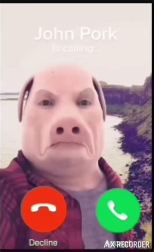 when you hang up on John pork #johnpork #johnporkiscalling