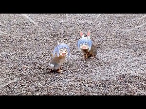 pekora rabbit fighting with friend | Animal hololive