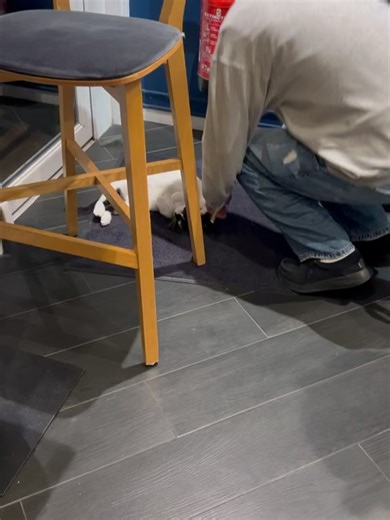 Coach Party on Reels | Facebook