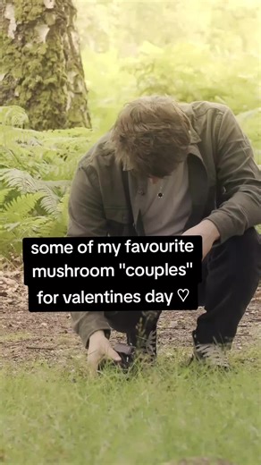 Charming Mushroom Couples for Valentine's Day