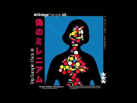 RARE VINTAGE SOUL/JAZZY SAMPLES "TRIP" Sample Kit (Joey Badass, Westside gunn, J Cole, Alchemist)