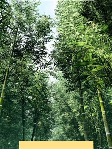 Ecoffins: A Beautiful Goodbye to Our Planet
