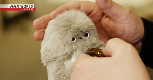 Evolved Kawaii Design - Design × Stories