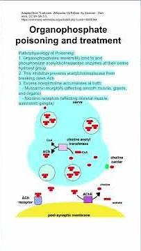 Organophosphate poisoning and treatment