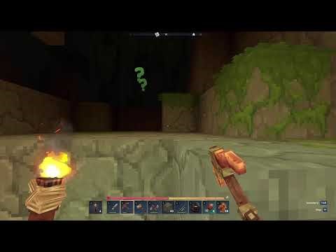 Hytale #1