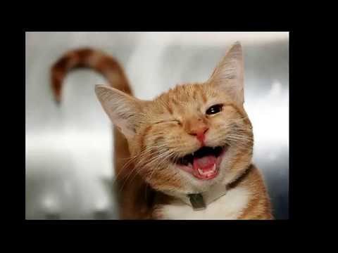 Abraham Hicks - Funny Compilation - Part 1