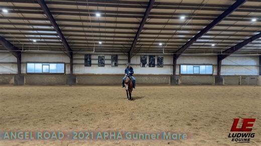 ‼️ Looking for a Flashy and talented horse to show this season? ‼️ ✨🐴 5YO APHA mare by Gunner, out of RR Star brood mare line. A very flashy mare with presence in the pen and a beautiful way of moving. 🔥 Extremely easy to ride, great minded, and low maintenance. 💎 Natural mover with a smooth, correct lope. 😌 Very broke, cool, and uncomplicated in all situations. A true pleasure to have in the barn and an excellent option to show or enjoy every day. Proven genetics with long term value. 📩 DM