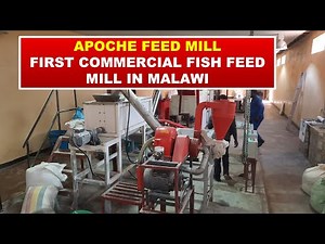 Apoche Feed Mill - The first commercial fish feed business in Malawi