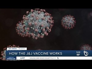 In-depth: How the Johnson & Johnson coronavirus vaccine works