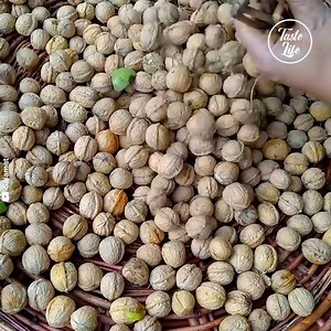 854K views · 30K reactions | Traditional Method to make Walnut Oil | Salamat. Shop now handmade products at www.shopsalamat.com ! Watch more videos and Subscribe on https://www.youtube.com/c/Salamatgb/videos Video Edited by Taste Life | Salamat | Facebook