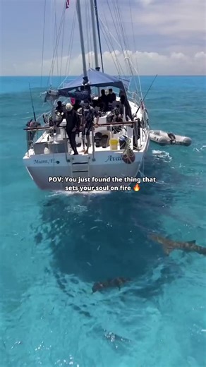 17K views · 147 reactions | There’s nothing like the feeling of discovering something that truly makes you come alive. Whether it’s diving into the ocean, creating art, or chasing adventures—finding your passion is pure magic. ✨ What’s the hobby that lights you up? | PADI | Facebook