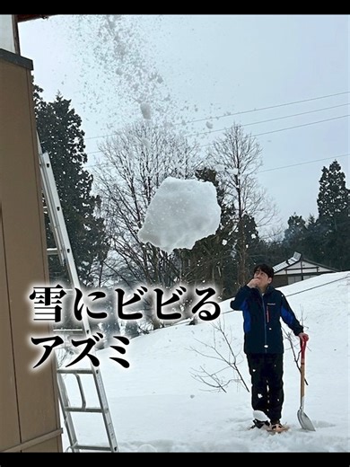 雪にビビるアズミの意味とは？ザ・タイム解説