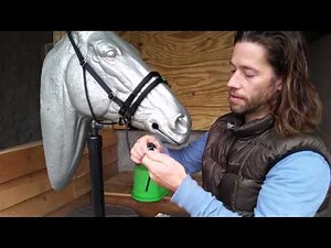 Ultimate Bitless Bridle (UBB) - How to put on and Adjust the UBB