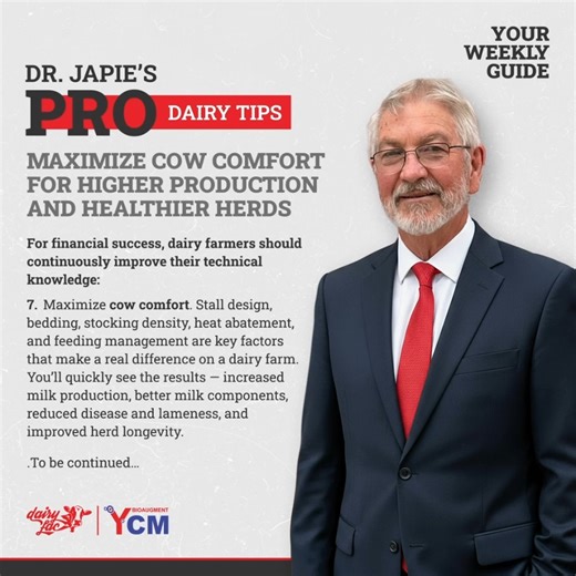 𝗠𝗮𝘅𝗶𝗺𝗶𝘇𝗲 𝗖𝗼𝘄 𝗖𝗼𝗺𝗳𝗼𝗿𝘁 𝗳𝗼𝗿 𝗛𝗶𝗴𝗵𝗲𝗿 𝗣𝗿𝗼𝗱𝘂𝗰𝘁𝗶𝗼𝗻 𝗮𝗻𝗱 𝗛𝗲𝗮𝗹𝘁𝗵𝗶𝗲𝗿 𝗛𝗲𝗿𝗱𝘀 𝗗𝗿. 𝗝𝗮𝗽𝗶𝗲’𝘀 𝗣𝗿𝗼 𝗗𝗮𝗶𝗿𝘆 𝗧𝗶𝗽𝘀 - Your Weekly Guide For financial success, dairy farmers should continuously improve their technical knowledge: Maximize cow comfort. Stall design, bedding, stocking density, heat abatement, and feeding management are key factors that make a real difference on a dairy farm. You’ll quickly see the results — increased milk production, b