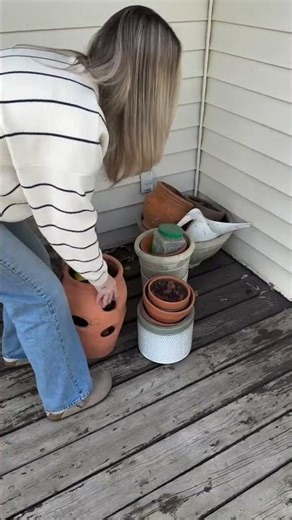 A Spring Porch Reset That Feels Like a Breath of Fresh Air 🪻✨