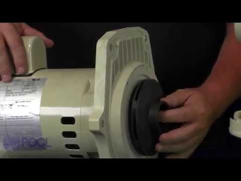 How to Replace the Motor on Your Whisperflo