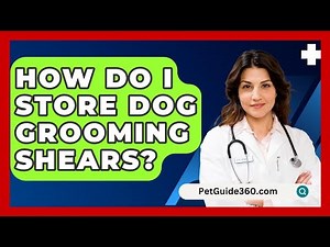 How Do I Store Dog Grooming Shears? - PetGuide360.com