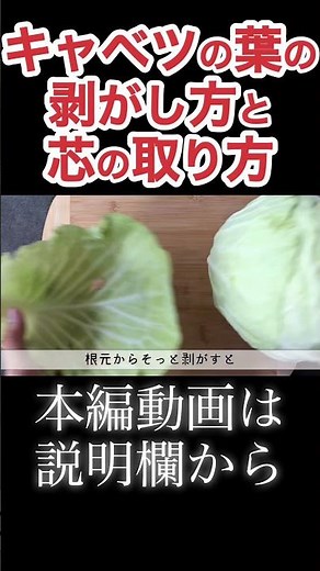 キャベツの葉のはがし方と芯の取り方 N.D.Kitchen