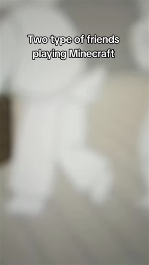 Crisp on Instagram: "Minecraft shenanigans w the gang"