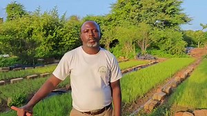 5.5K views · 177 reactions | Formation sur la production de l'oignon...