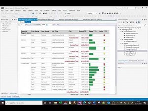 MS SSRS tutorial on adding data bars and indicators (cell graphics)