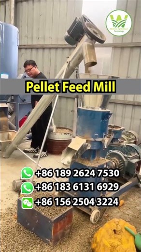 Pellet Feed Mill Production Line | Western Agriculture Technology | Zhengzhou, China