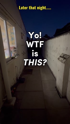 Patio Creeper! We Finally Caught "Something" Lurking on the Patio!! The last 3 days have been driving us mad, with activity banging and scratching our downstairs windows! We caught it a few times on camera, but upon checking, we could never actually see anything causing it? I decided to place a tripod and camera outside filming the patio as it wasn't due to rain last night. This morning, the tripod and camera was found knocked over outside our back door. Upon checking the footage, we can see the