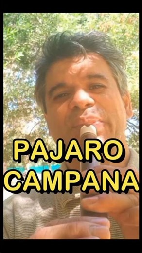 COMO TOCAR EL PAJARO CAMPANA EN QUENA. #freddykntoquena #tutorialesdequena #pajarocampana