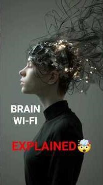 The role of synapses in information processing 🧠⚡🔗