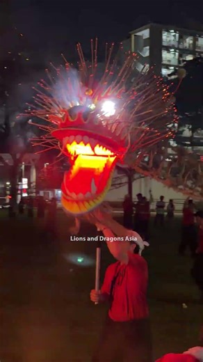 The Straw Fire Dragon Performance