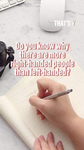 3.4K views · 144 reactions | Why are there more right-handed people than left-handed? Here's what research says 樂 Original video by TheConversation.fr #LeftHanded #RightHanded #Prehistory #Psychology #Research | That's Y | Facebook