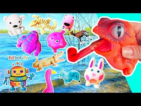 Learn Animal Names for Kids at the Lake: Chameleon Dog Bear Gorilla Rooster Pig Crocodile