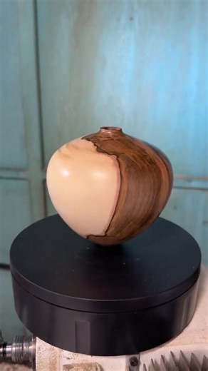 Spalted Beech Hollow Form – Thin-walled Vase With Heartwood/sapwood Contrast | Handcrafted Decorative Woodturning - HF123BEE - Etsy