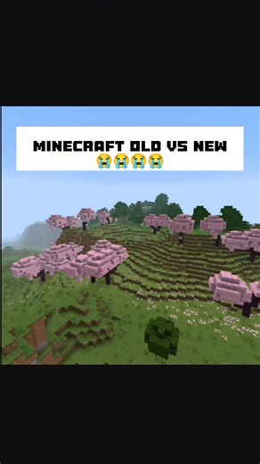 Old vs New Minecraft… You Didn’t Notice This 😭