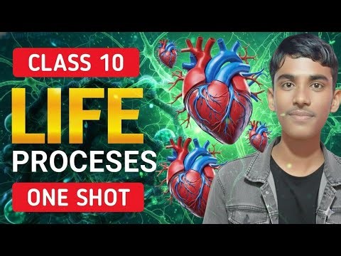 Life Processes Class 10 | Board Exam Special One Shot | PYQs + Important Concepts