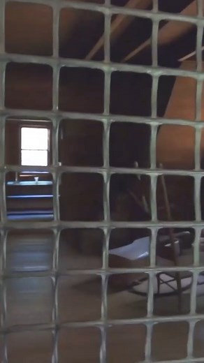 Going 173 Years Back in Time to a Cotton Plantation! #cotton #plantation #traveladventures #history #reels | Adventures Into History