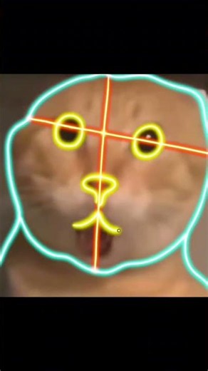 He’s seen too much... 😳🐱