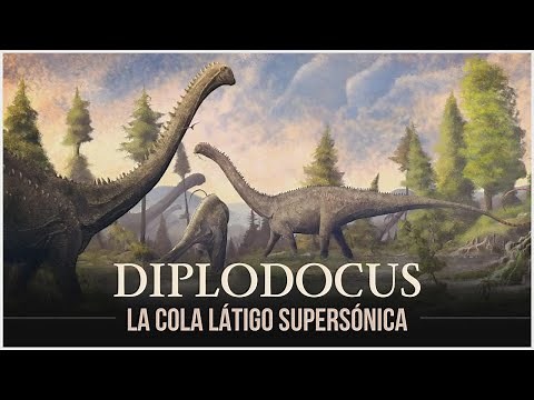 Diplodocus: El dinosaurio con un látigo sónico en la cola. ¡Documental fascinante!