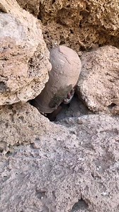 718K views · 3.3K reactions | Tre3_Treasure Hunt [ GOLD ] With Metal Detecting #treasurehunt #metaldetecting #treasurehunting #treasurehunter #metaldetectasure Hunt [ GOLD ] With Metal Detecting #treasurehunt #metaldetecting #treasurehunting #treasurehunter #metaldetect | John Price | Facebook