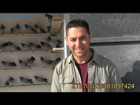 ΧΑΒΑΣ 51 ΠΕΡΙΣΤΕΡΙΑ ΣΤΟΝ ΤΥΡΝΑΒΟ ΑΠΟ ΤΟΝ ΒΛΑΧΑΒΑ ΤΑ ΛΟΓΙΑ ΕΙΝΑΙ ΠΕΡΙΤΤΑ 2026