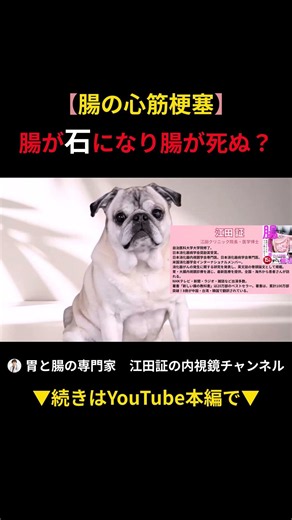 【腸の心筋梗塞】 腸が石になり腸が死ぬ？
