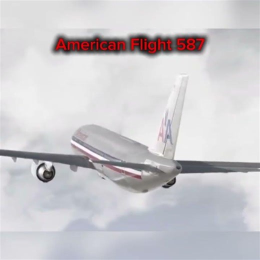 Plane Crash That Happend In The End Of The Year #firdausglowing #automobile #viral #aviation #edit