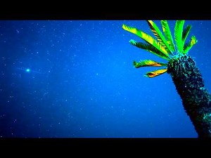 Solfeggio Frequency 528Hz【Healing BGM】Carefully Selected Frequencies to Optimize Body & Mind Balance