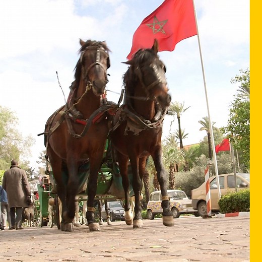 Morocco is an enchanting mix of walled clay villages, ornately tiled palaces, and colorful medinas filled with enticing spices and barrels of olives. | National Geographic Travel