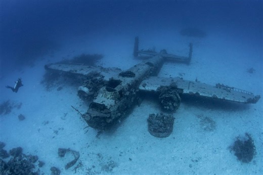 Scuba divers went to an airplane graveyard in the Pacific and found souls lurking among the wrecks | Discover Wildlife