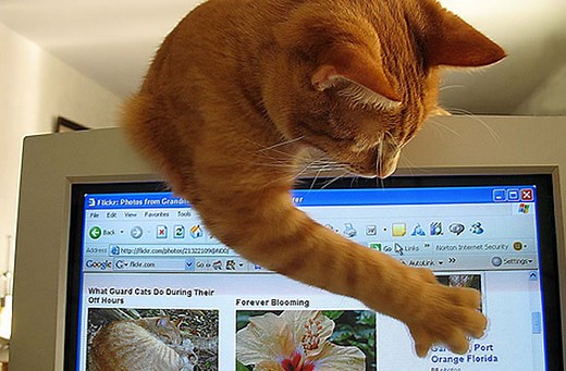 Idées de choses à faire sans Internet — madmoiZelle.com