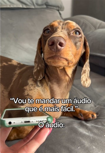 ‘Vou ser breve’ o áudio: 🐶🫠 #meme #trend #doghumor #dog #viralvideo