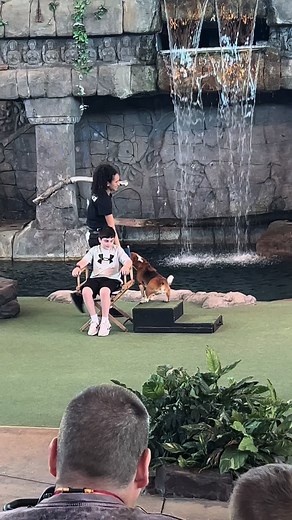 Animal Actors Funny Blooper - Universal Studios