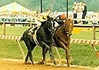 Easy Goer vs. Sunday Silence